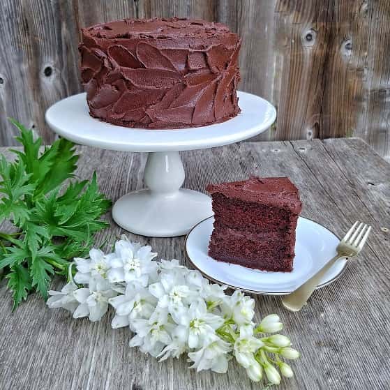 Devil's food cake and cake slice on a plate.