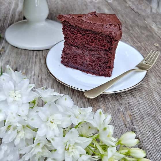Slice of chocolate cake and white fresh flowers for decoration.