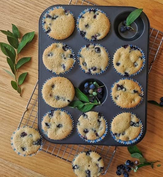 Blueberry muffin on baking pan.